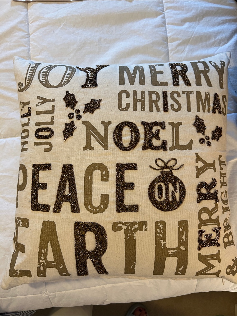 Holiday Joy Decorative Pillow - Neutral Beige with Glitter Text